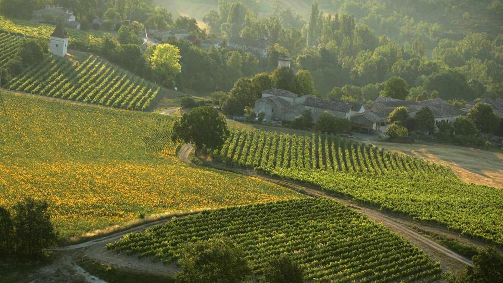 Hop on Bordeaux, France's vineyard voyage