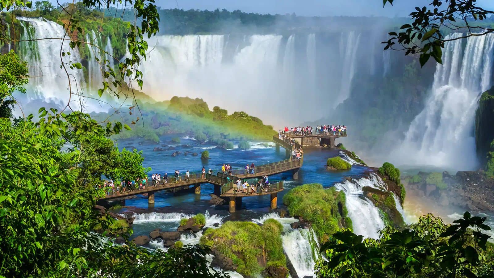 Witness Iguazu's majestic falls and exotic wildlife with this guide