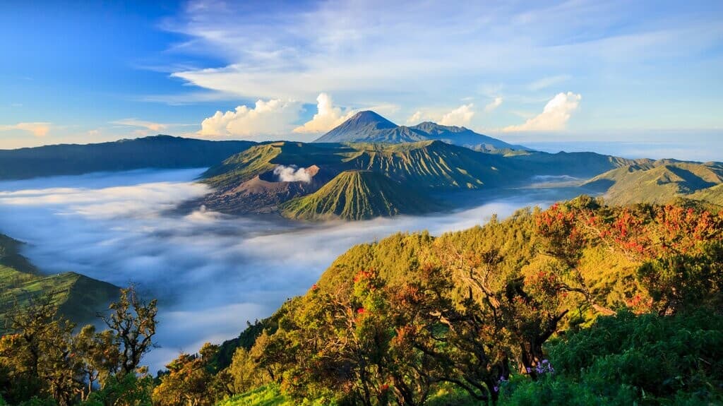 Journey to Mount Bromo, Indonesia: A travel guide