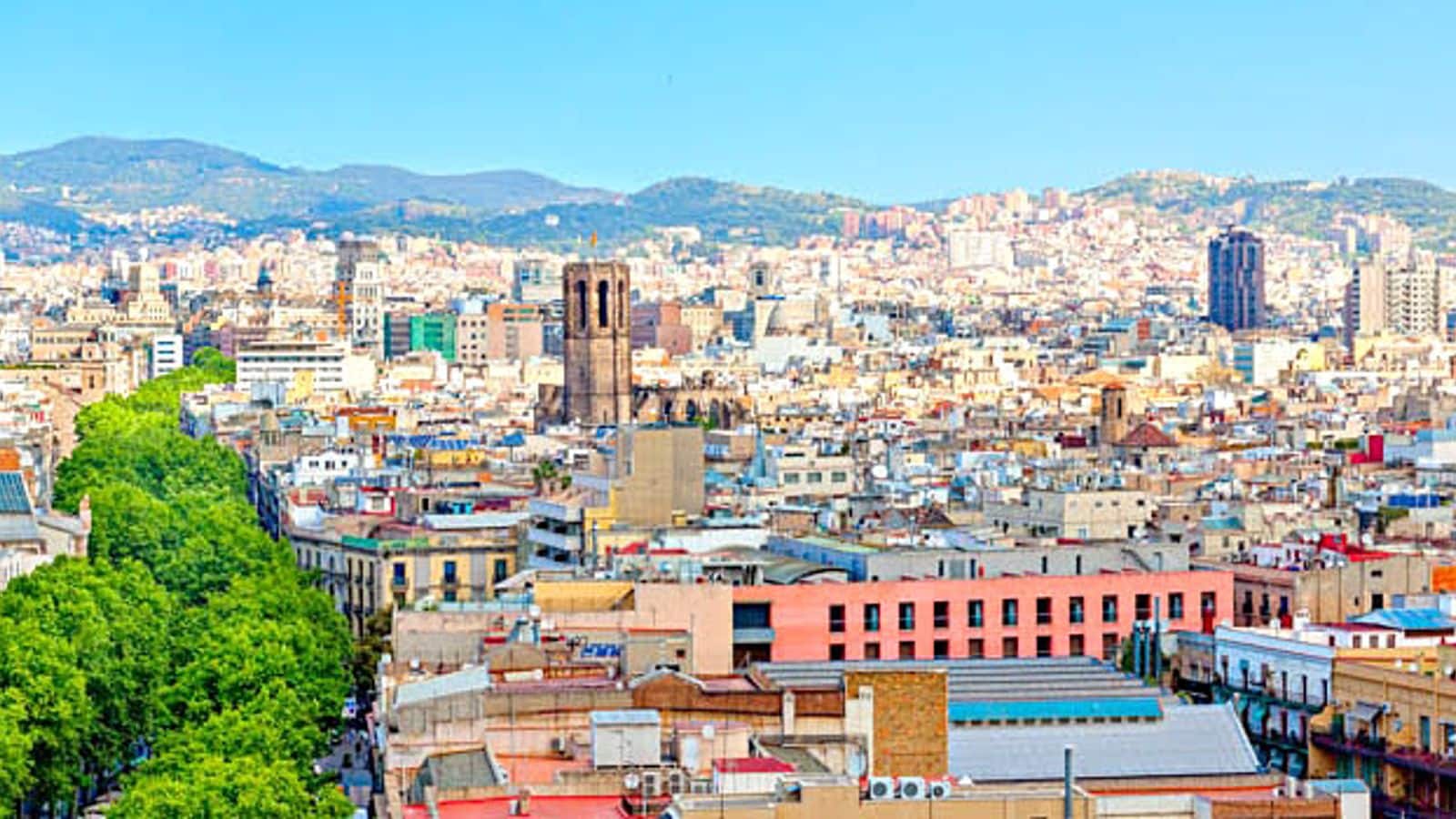 Barcelona's urban climbing adventure: Top recommendations