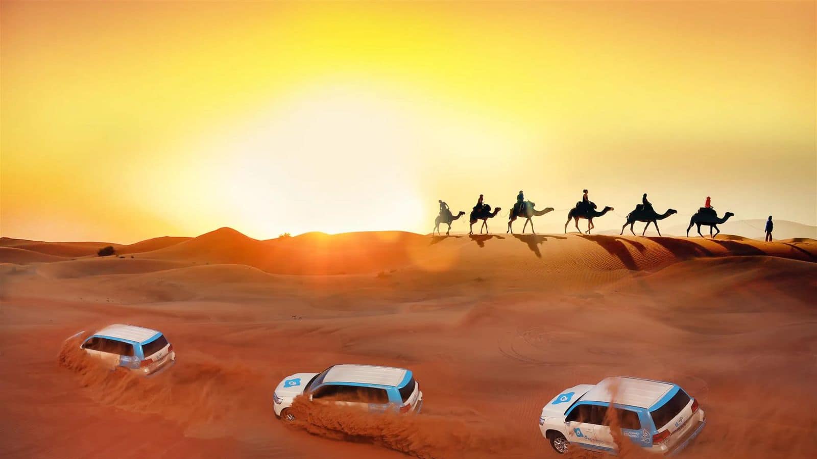 Go for these thrilling desert safari adventures in Dubai, UAE