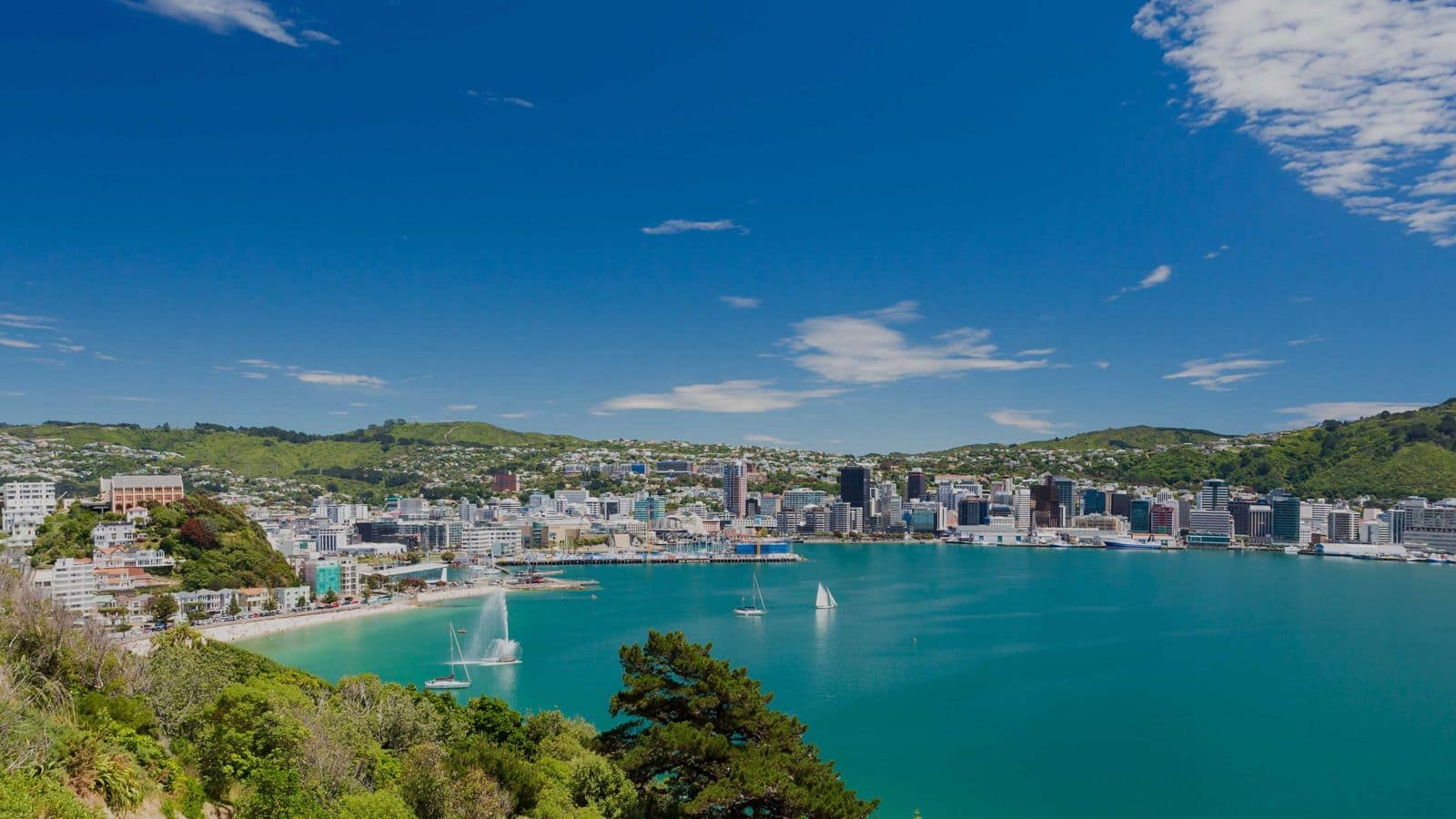 Discover Wellington's coastal charm with this travel guide