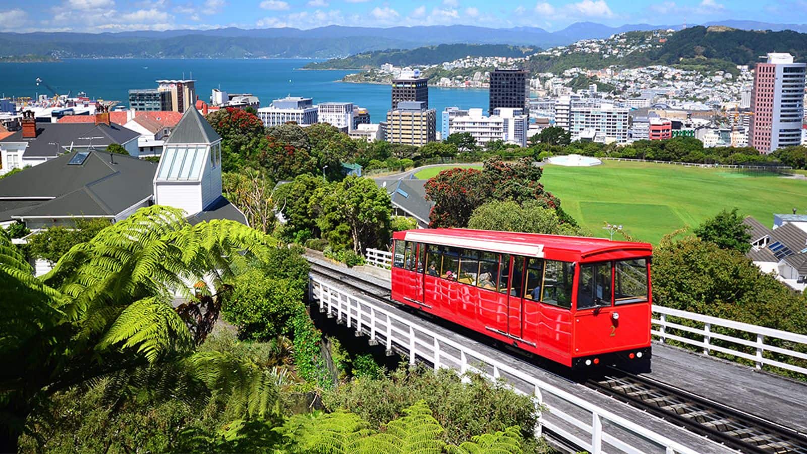 Head over to Wellington's whimsical cable car picnic lookouts