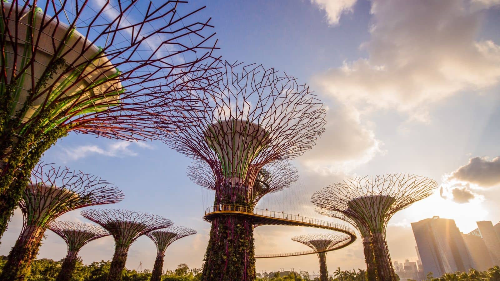 Recommendations for a futuristic family adventure in Singapore
