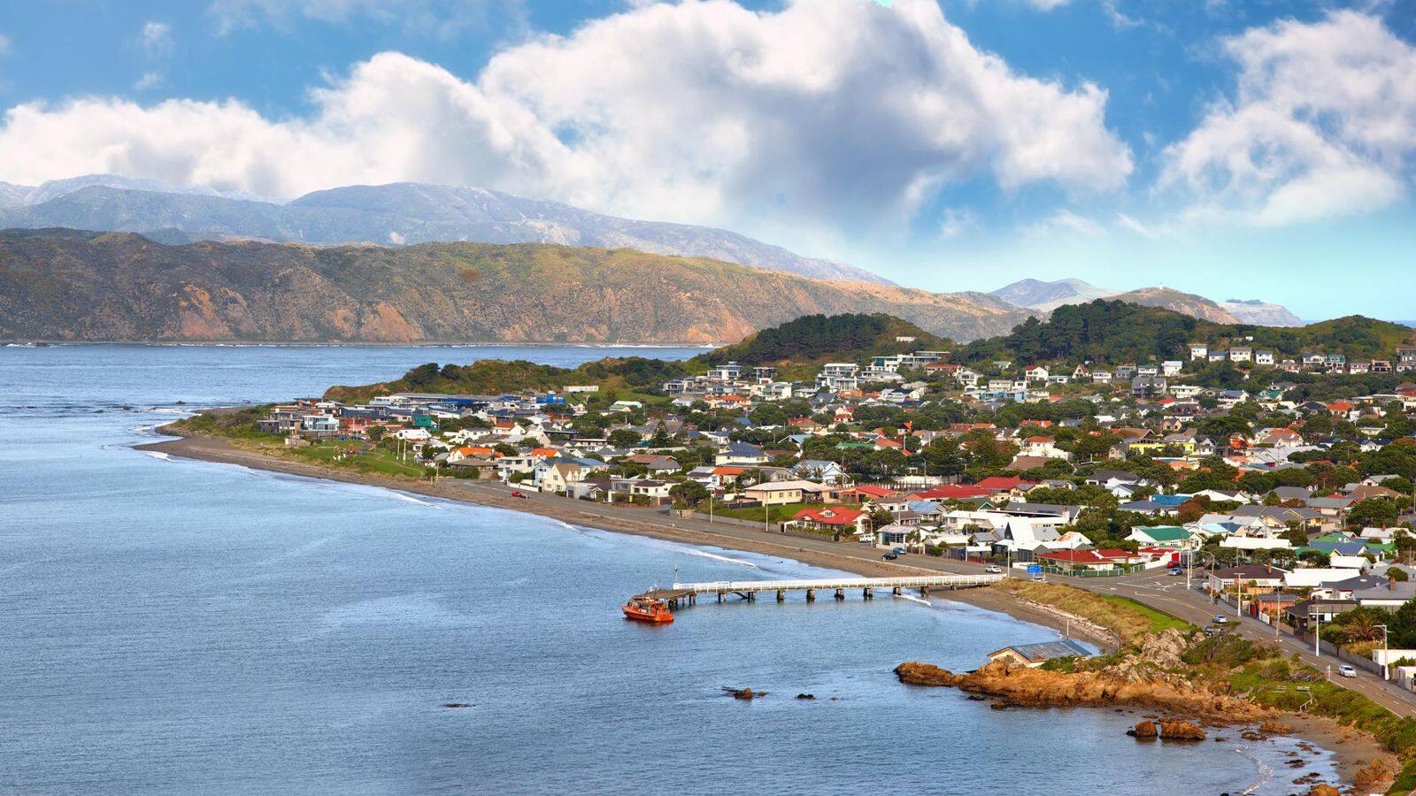 A guide to exploring Wellington's coastal walk wonders