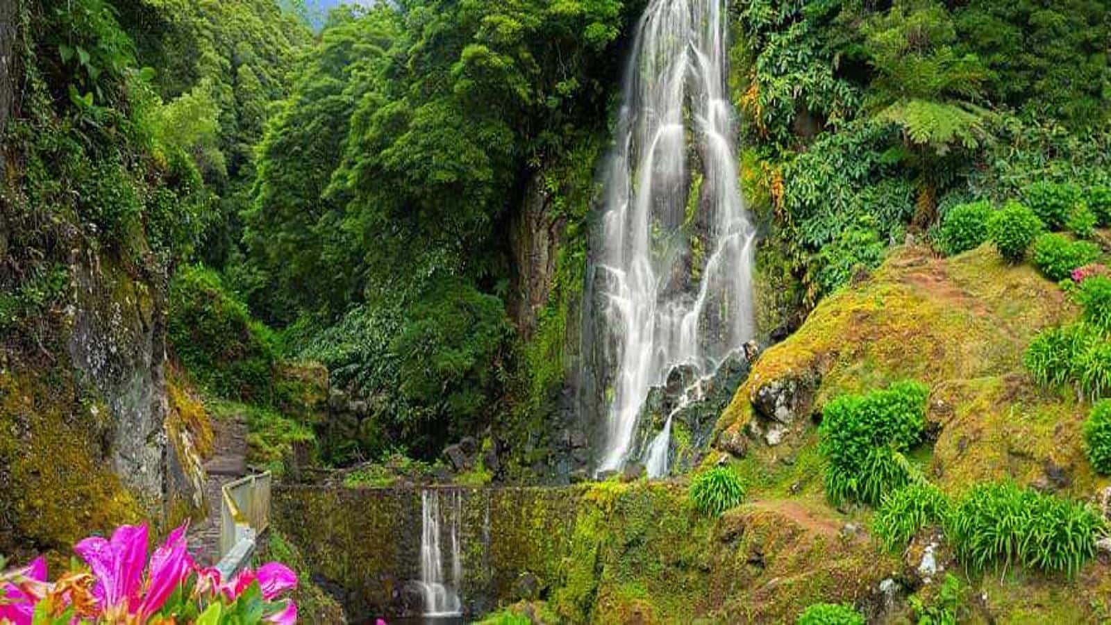 Azores in spring: Portugal's natural paradise unveiled