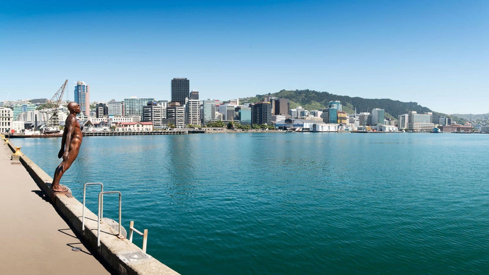 Explore Wellington's vibrant waterfront attractions for a memorable trip