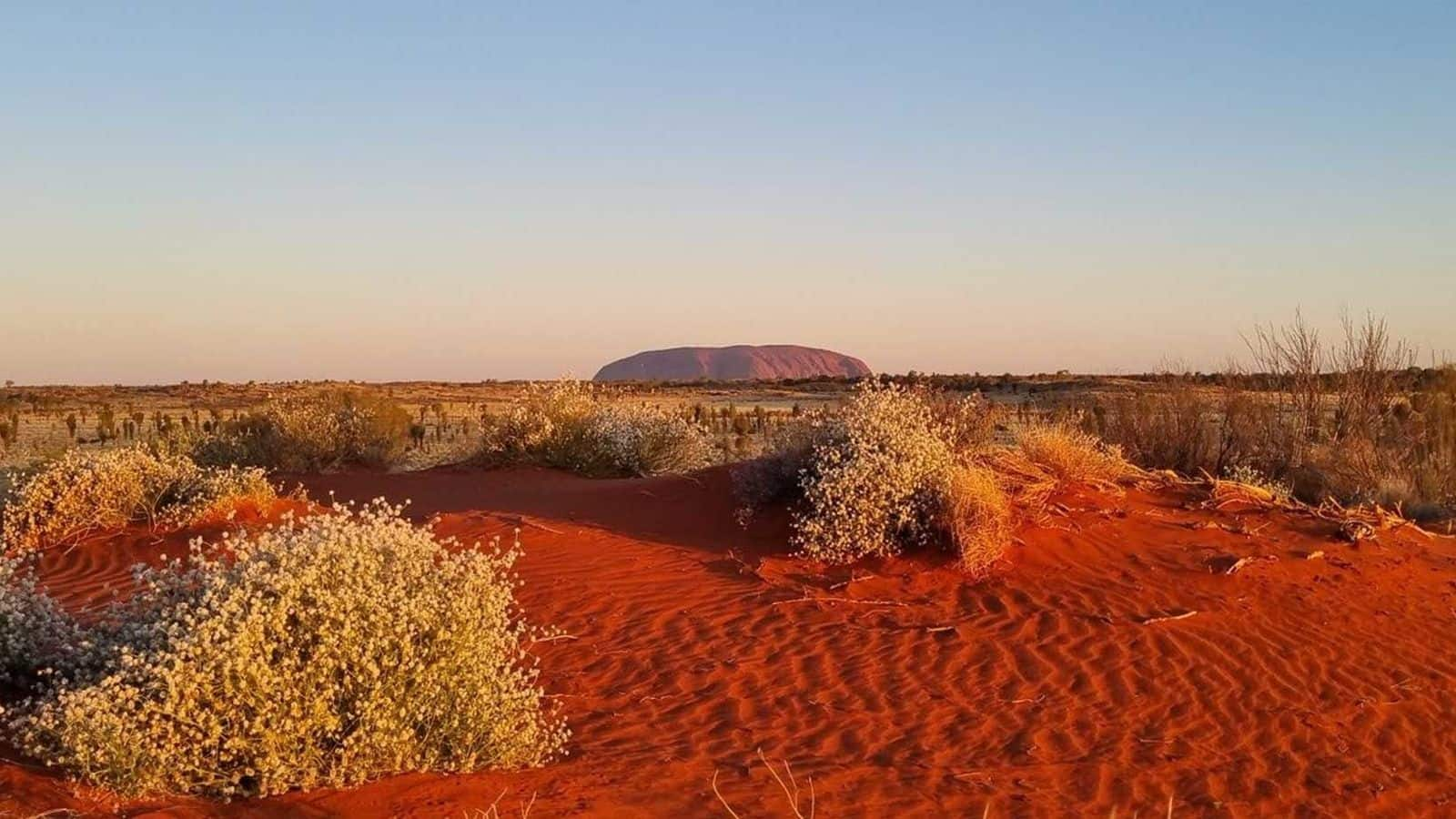 Sydney to Outback is closer than you think