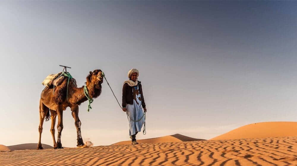 Embark on a majestic Sahara Desert camel trek, Morocco