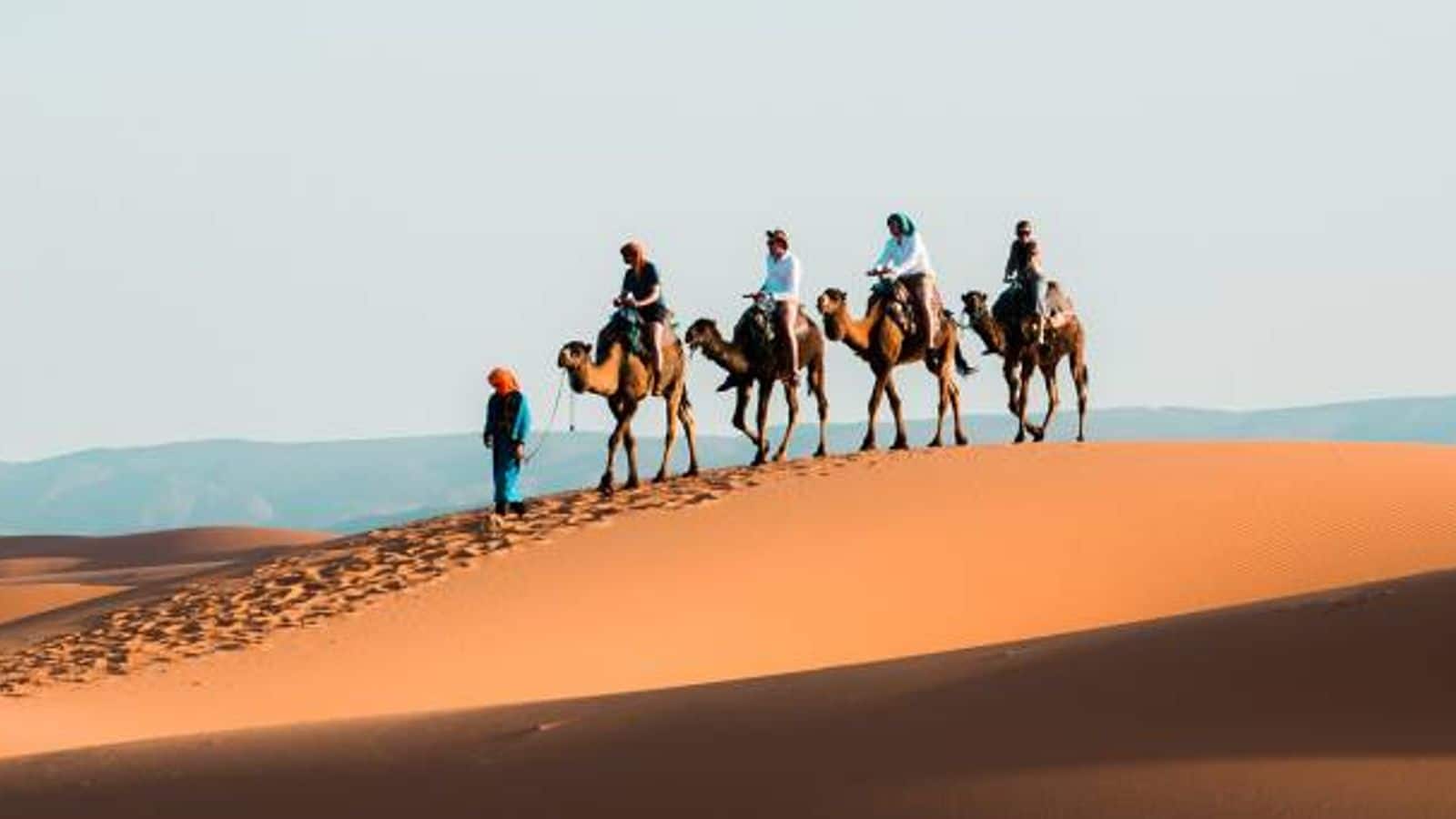 Embark on a camel trek adventure in Sahara Desert, Morocco