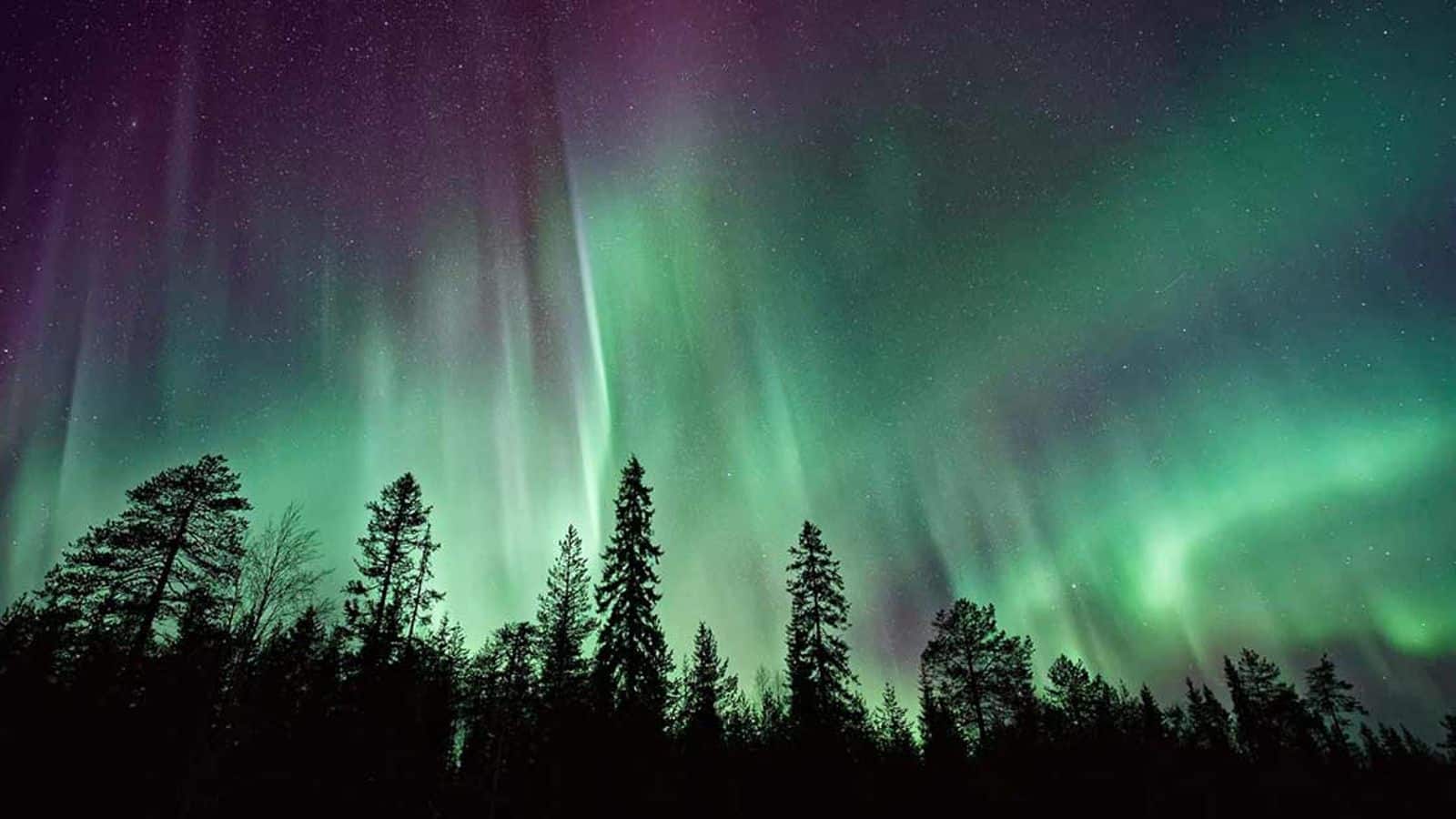 Chase the northern lights in Labrador, Canada
