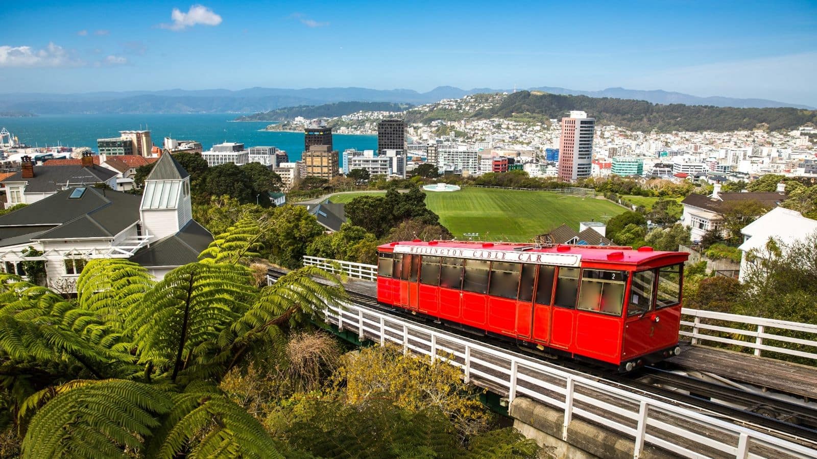 Explore Wellington, New Zealand with these travel recommendations