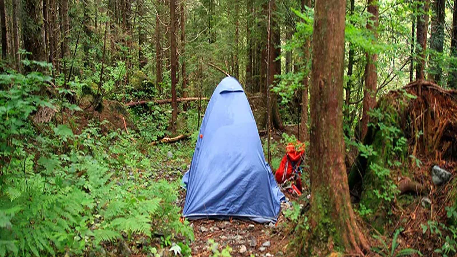 Vancouver rainforest camping essentials for a safe experience