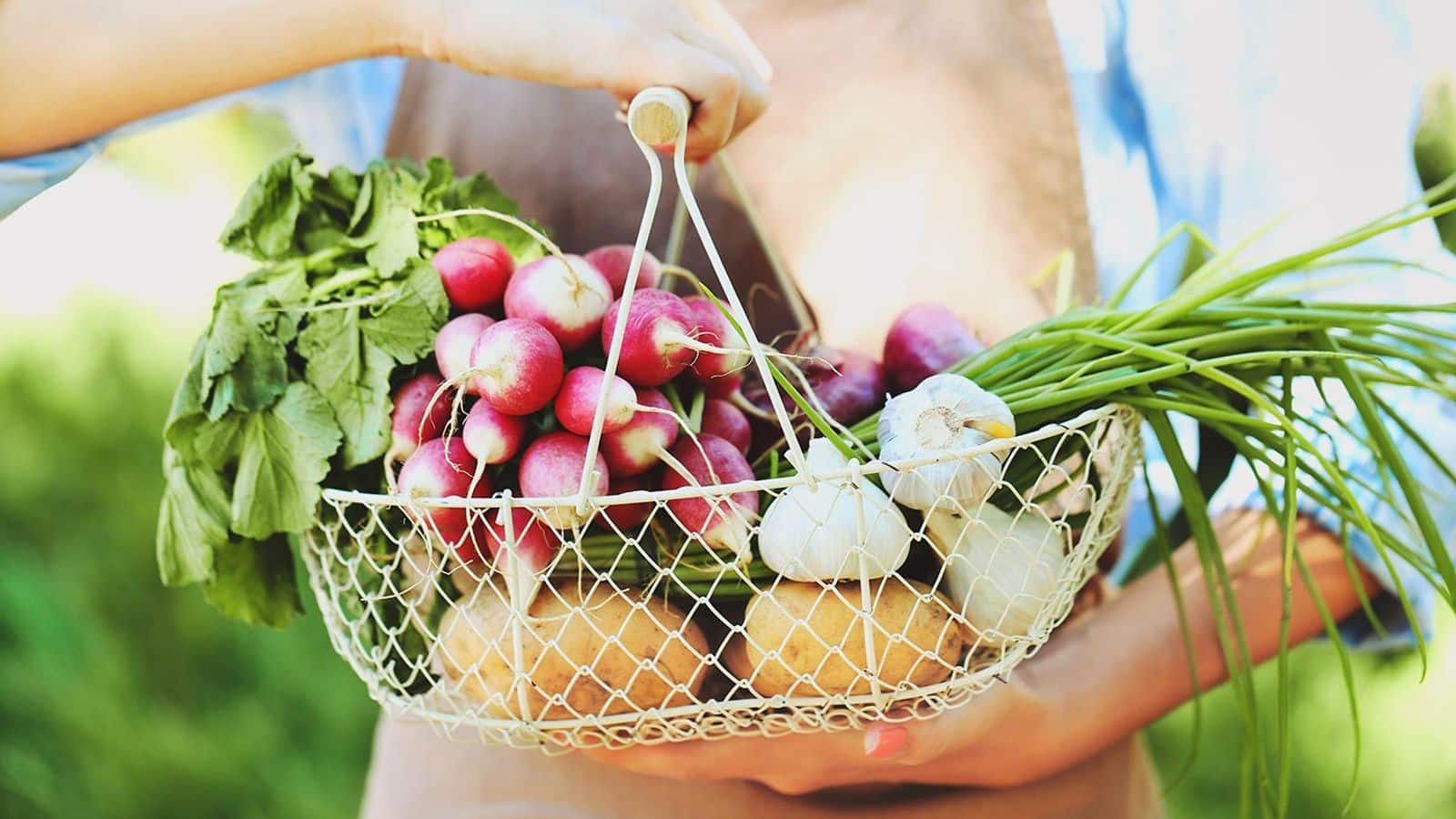 Nourish your gut with these root veggies