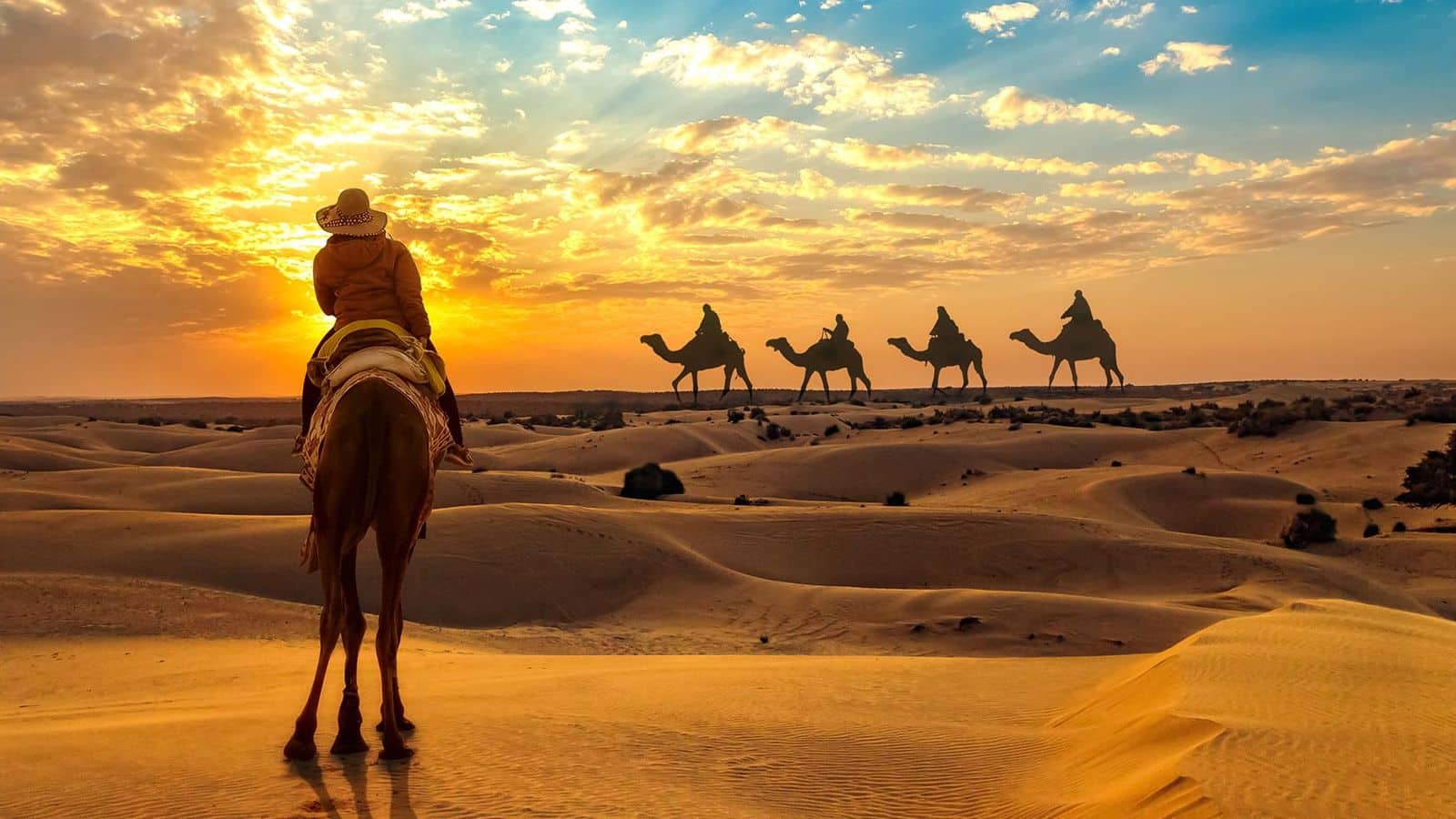 Explore Jaisalmer's desert culture with these excellent recommendations