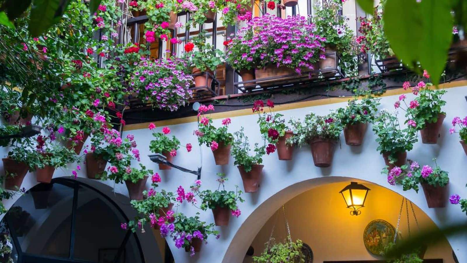 Hop on a Seville's secret courtyards tour