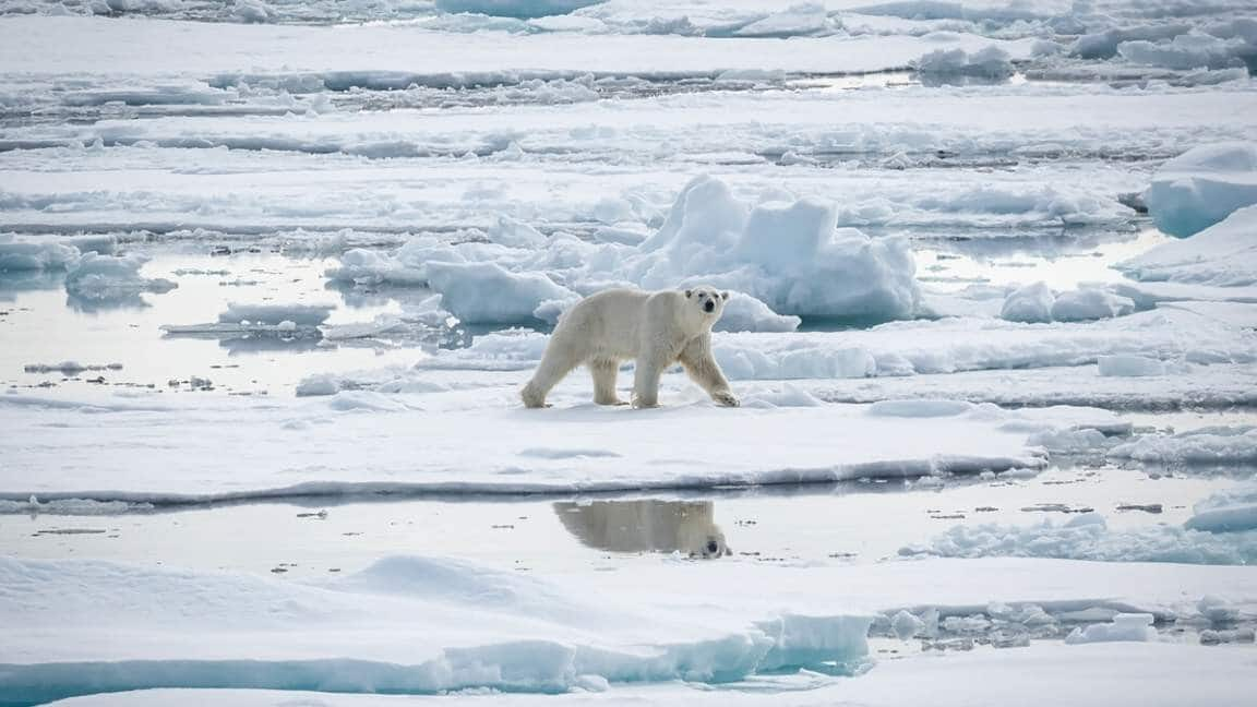 Journey to Spitsbergen, Svalbard: Arctic adventure awaits