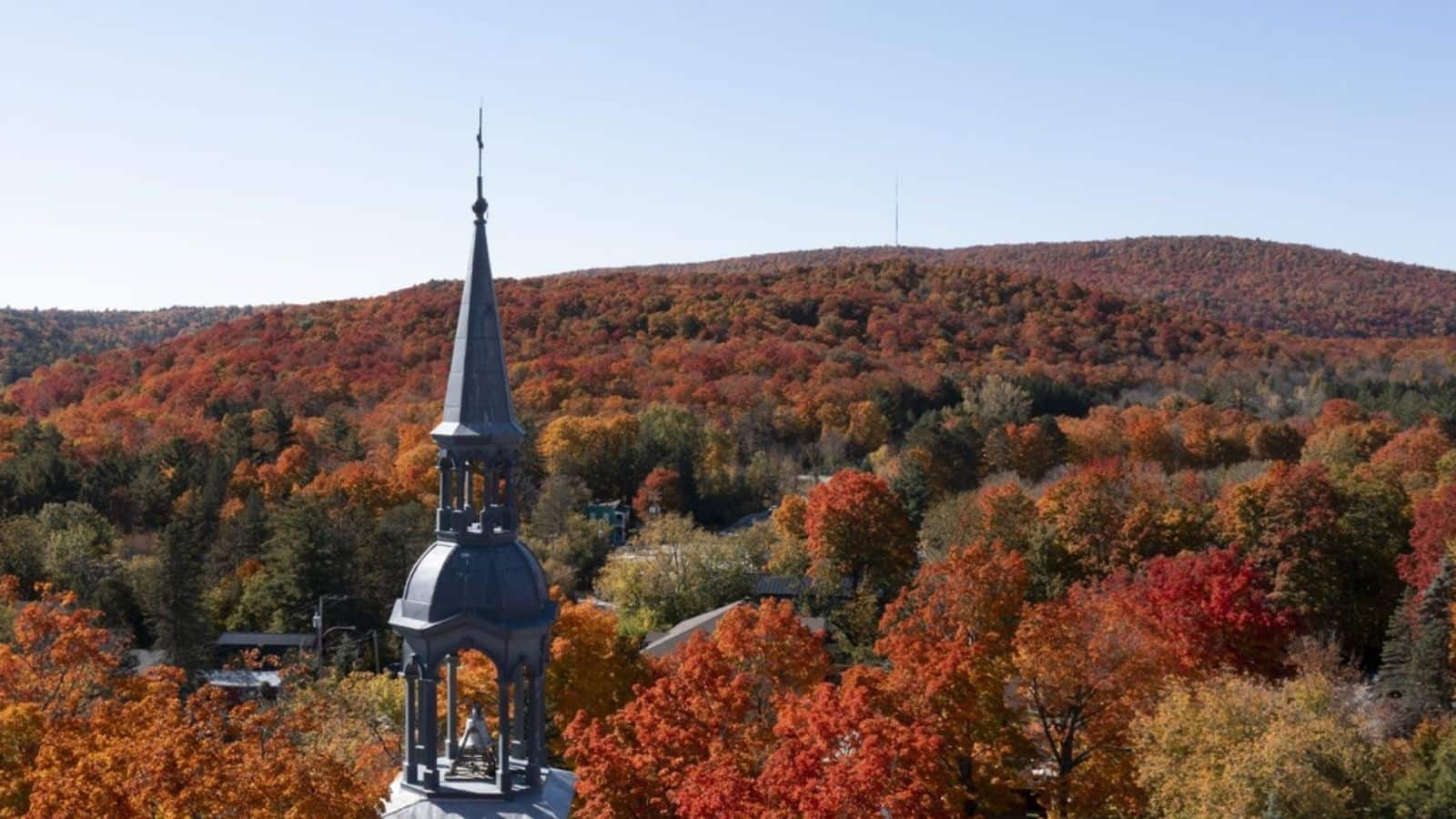 Montreal's autumnal maple leaf trail pilgrimage: Things to do