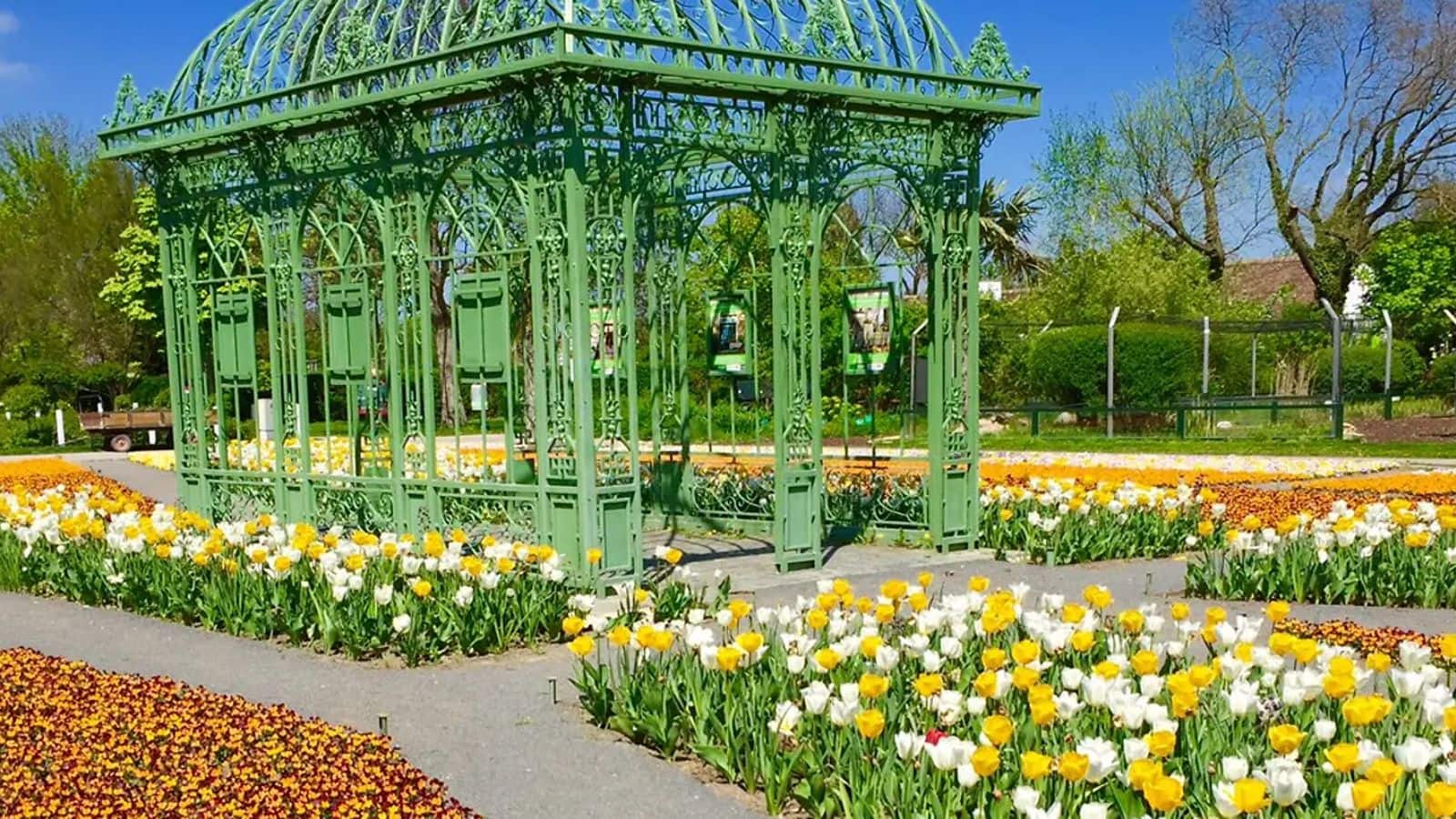 Explore Vienna's enchanting spring gardens