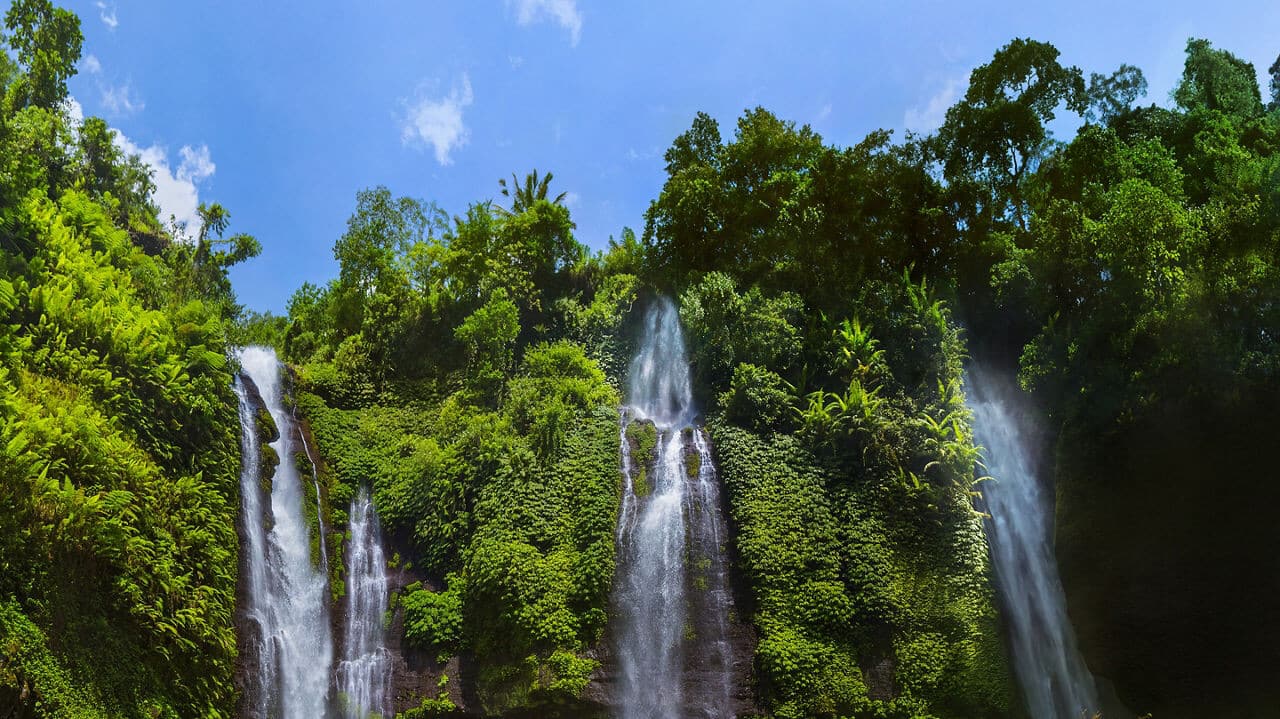 Explore Singapore's serene nature reserves