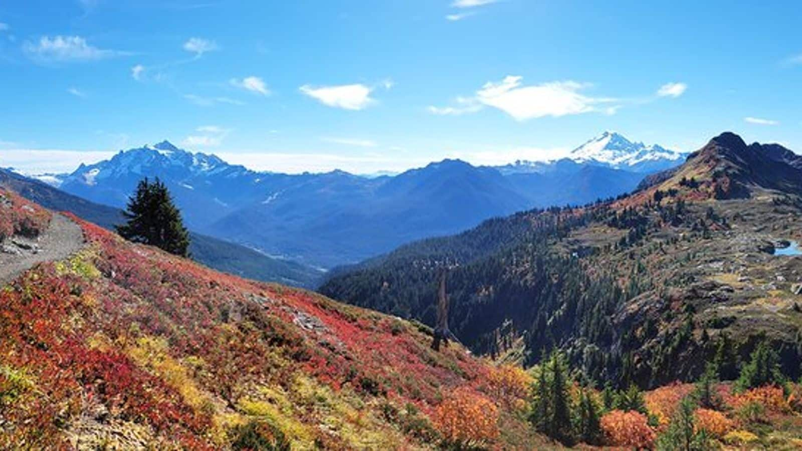 Bookmark Seattle's scenic sound and mountain getaways