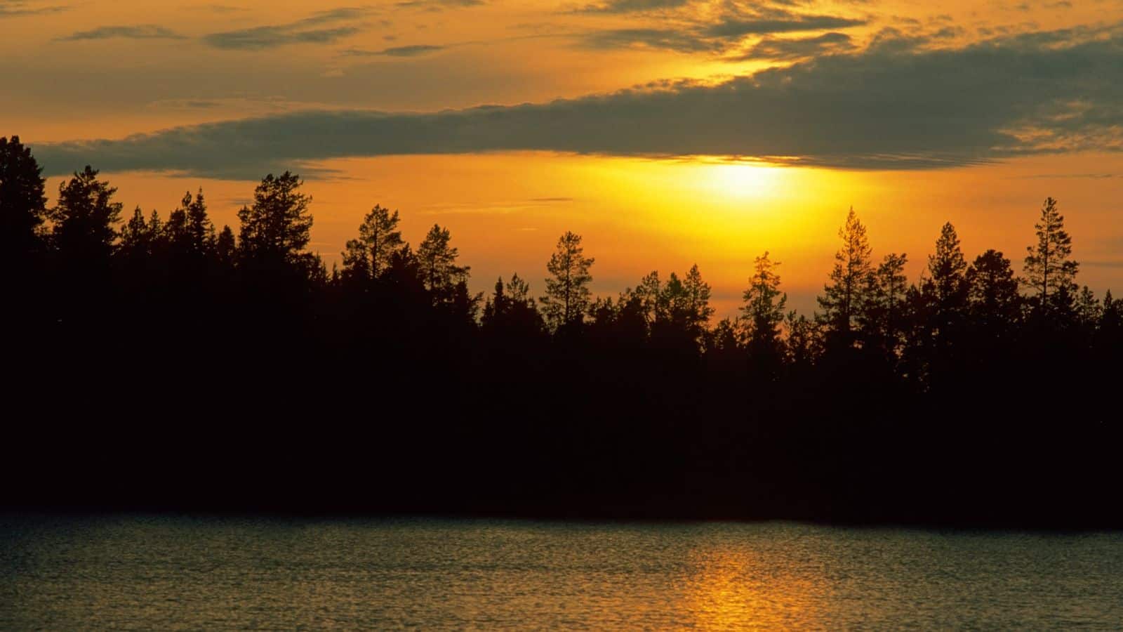 Finnish Lapland's midnight sun is a rare phenomenon worth capturing