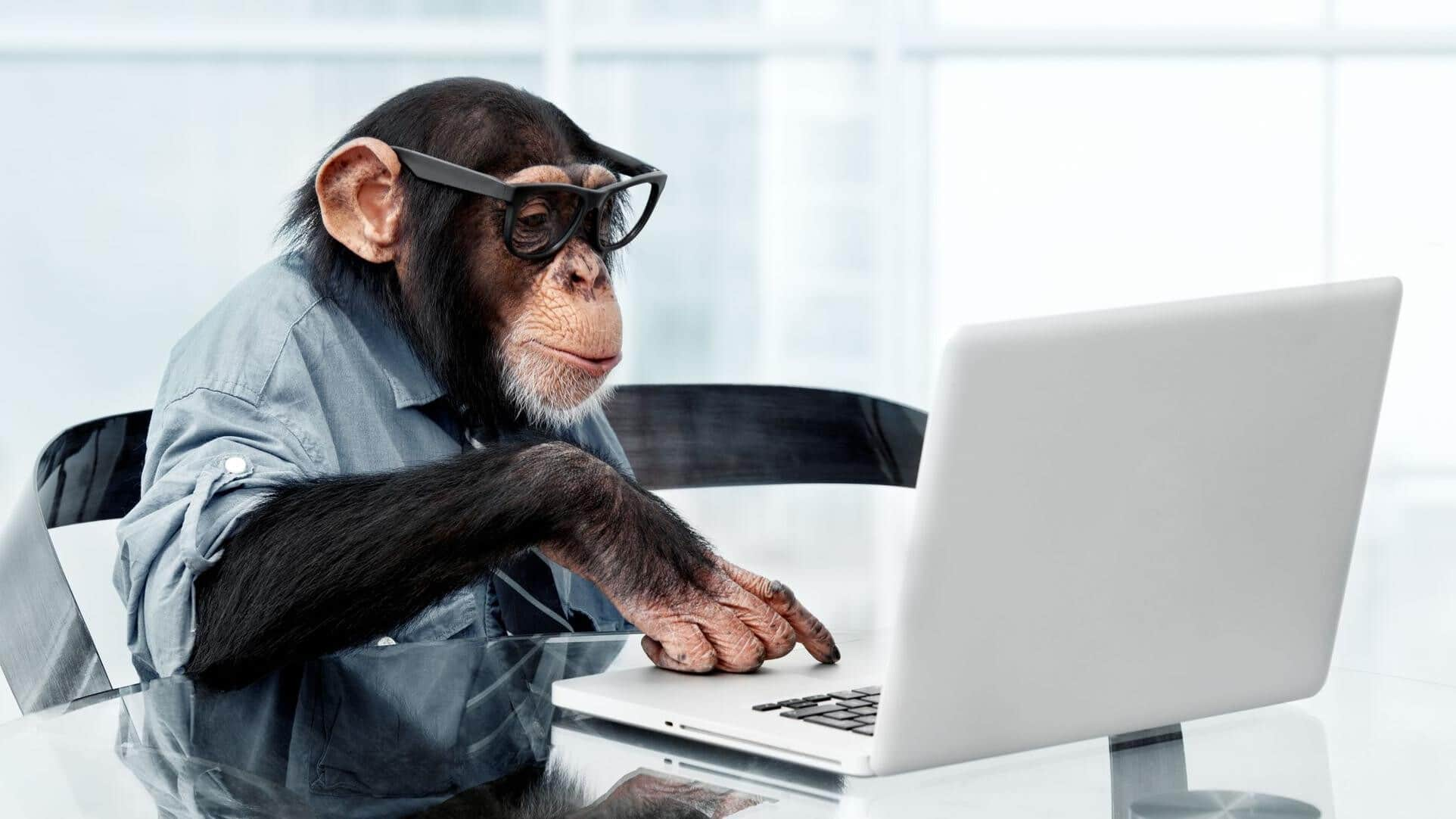 Scientists debunk 'infinite monkey theorem;' primates will never type Shakespeare