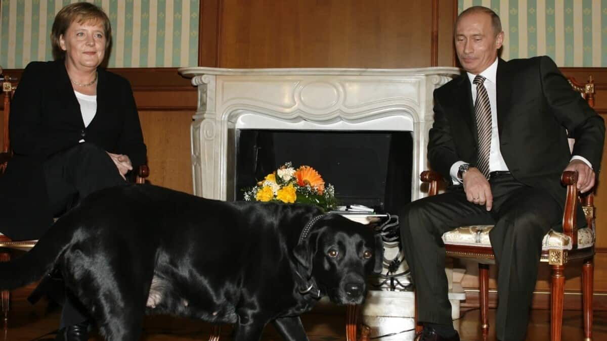 Putin denies intentionally scaring Angela Merkel with dog