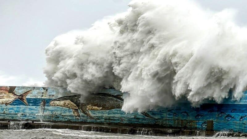 Taiwan shuts down as largest storm since 1996 hits land 