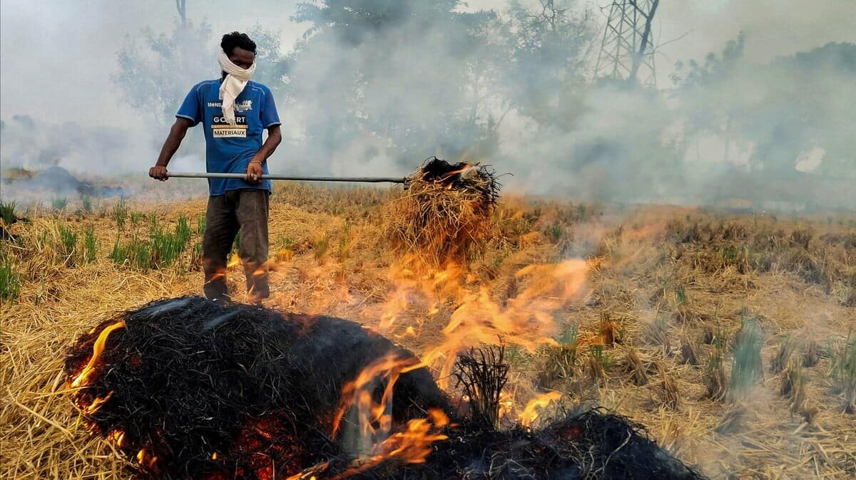 'Up to ₹30,000 fine': Centre doubles penalties for stubble burning 