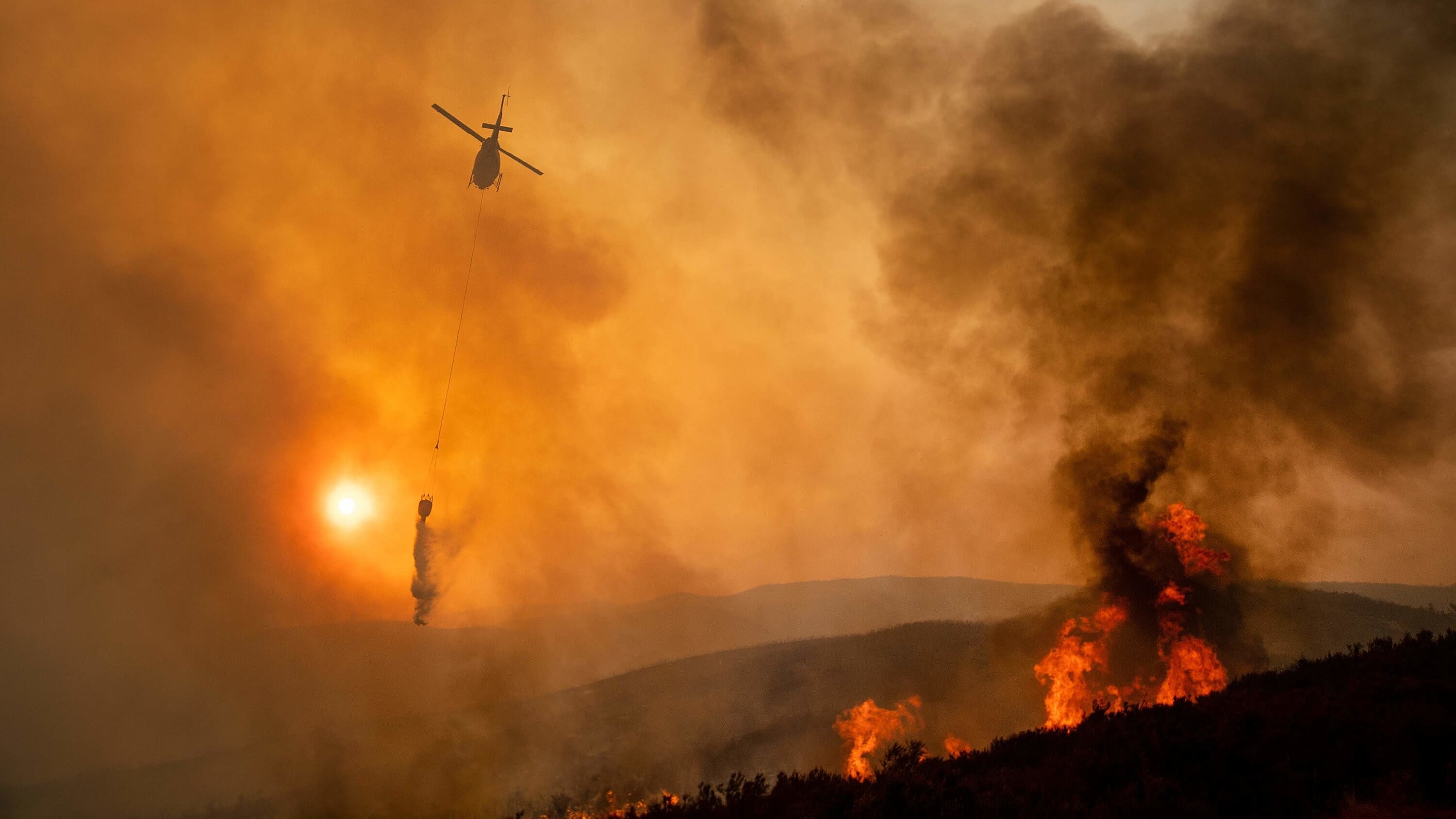 Trump blames California's environmental policies for LA wildfires