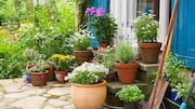 This is how you can create unique flower pots