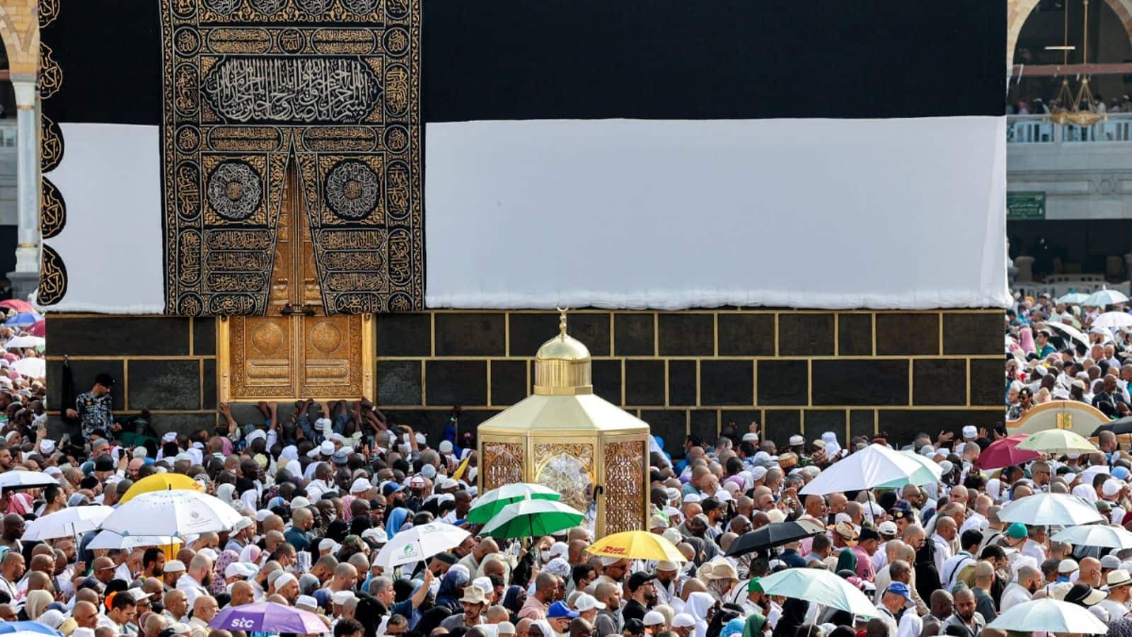 68 Indians among 645 Hajj pilgrims who died in Mecca 