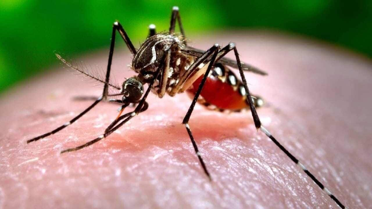 Dengue cases surge in Delhi, over 400 infections past week 