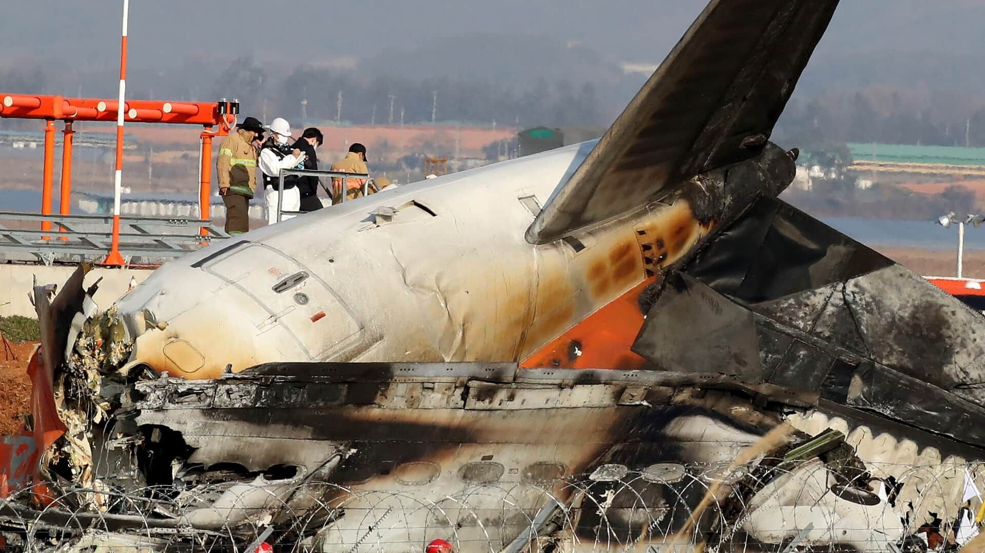 Duck remains, feathers found in ill-fated Jeju Air jet engines 