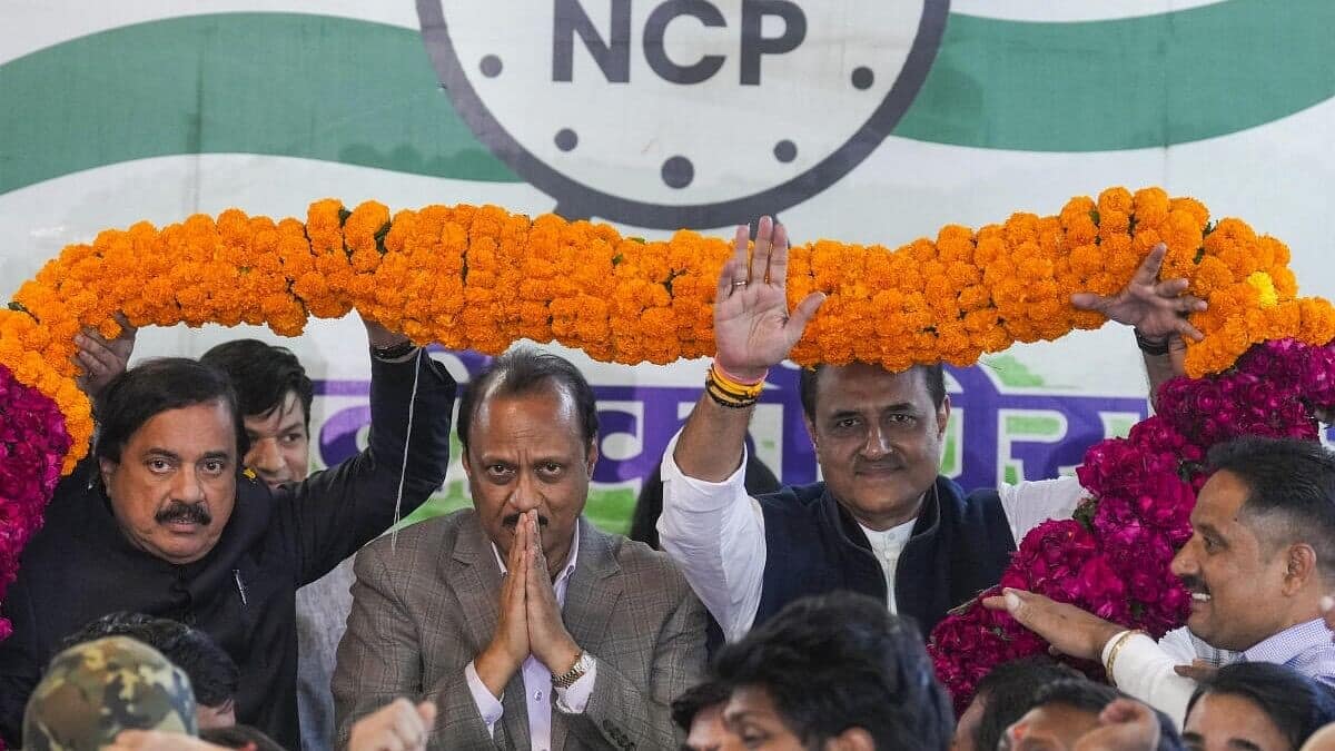 Ajit Pawar's NCP to make Delhi poll debut 