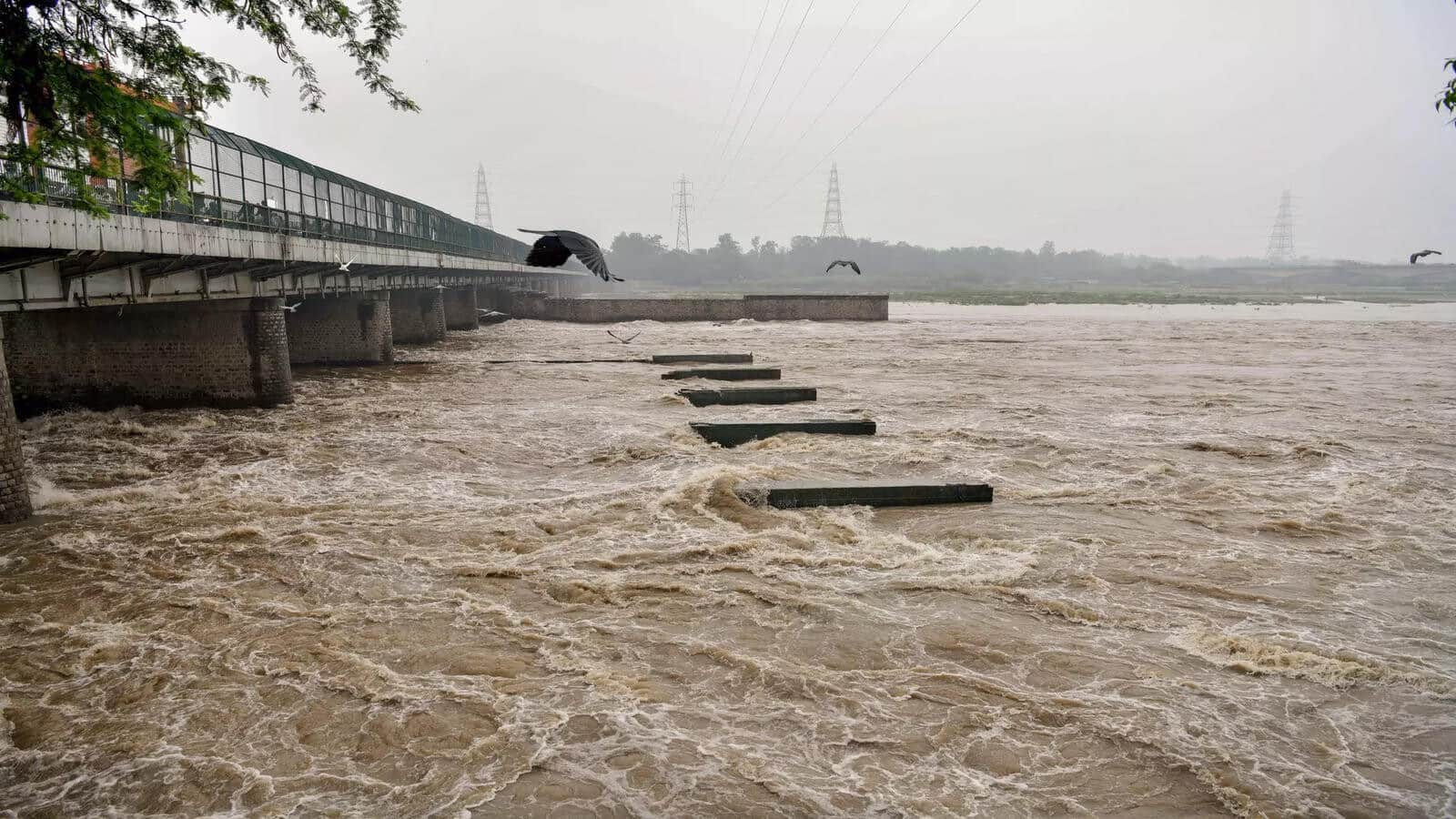 Yamuna's life-sustaining capacity nearly non-existent in Delhi: Parliamentary panel report 