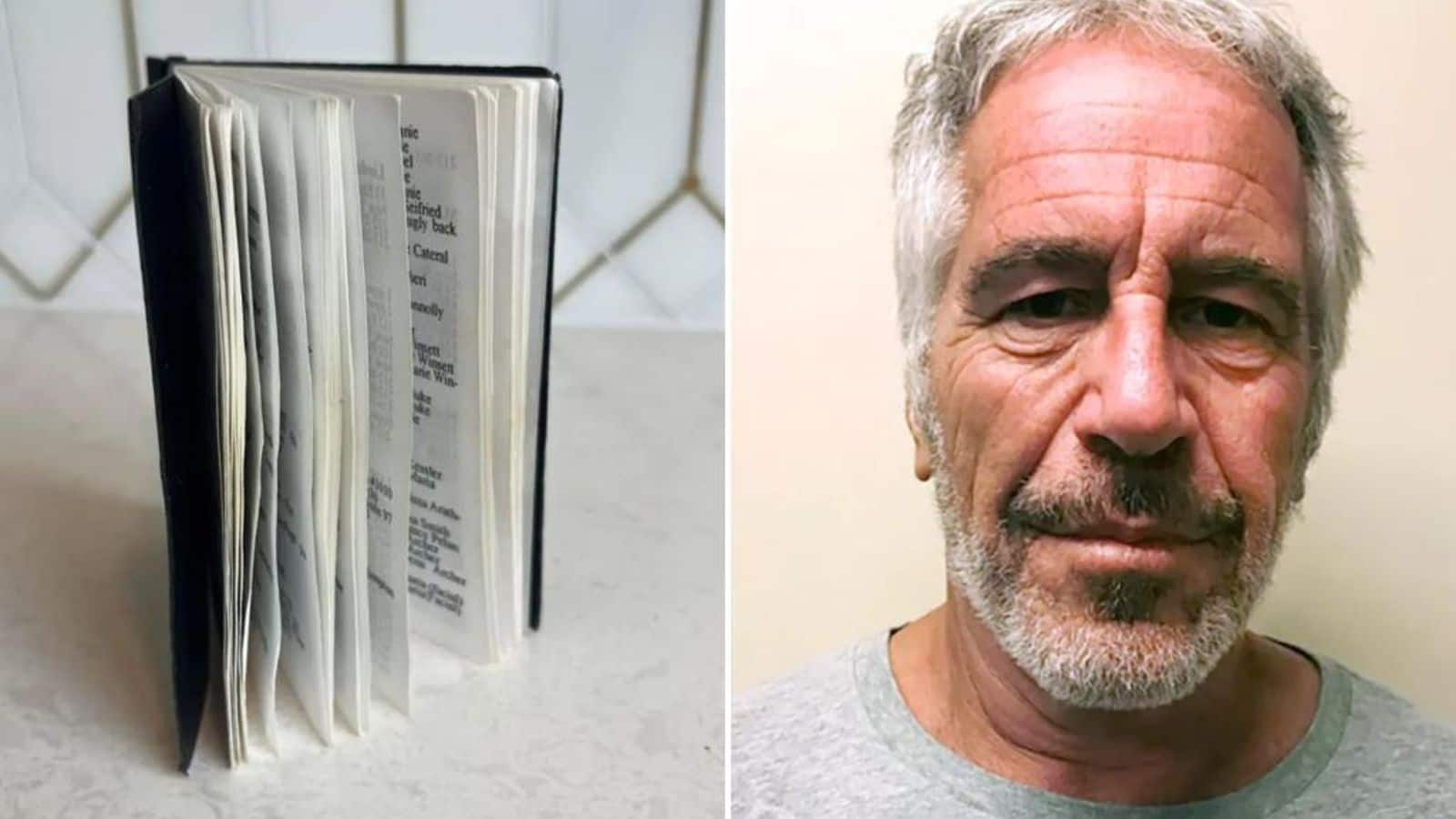 Jeffrey Epstein's 'black book' with 221 additional high-profile names auctioned 
