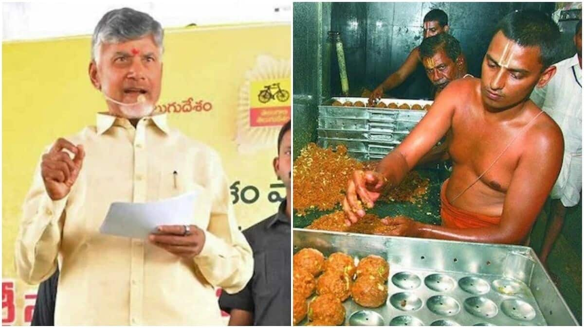 Naidu announces 'cleansing' of Andhra temples amid Tirupati laddoo row