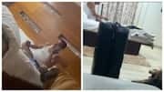 Video shows Sena MLA with cash-filled-luggage day after tax notice  