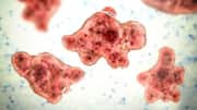 Kerala confirms 67 brain-eating amoeba cases; 18 deaths so far 