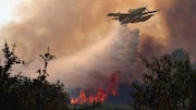 France's blazes are so powerful they created fire-generated thunderstorm 