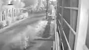 After Jaish, Lashkar admits Operation Sindoor destroyed its terror camps 