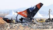Jeju Air crash that killed 179 linked to pilot mistake 