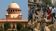 SC orders removal of Delhi stray dogs; warns animal activists 
