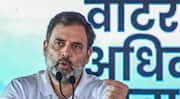 Rahul Gandhi dual citizenship row: Allahabad HC orders probe 