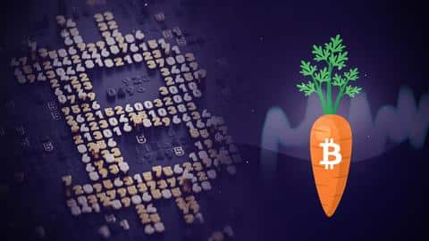 Here's what the Bitcoin Taproot upgrade changes for its stakeholders Here's what the Bitcoin Taproot upgrade changes for its stakeholders