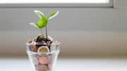 How to invest in Indian sectoral funds