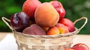 What are stone fruits?