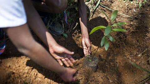 How you can help protect the Earth How you can help protect the Earth